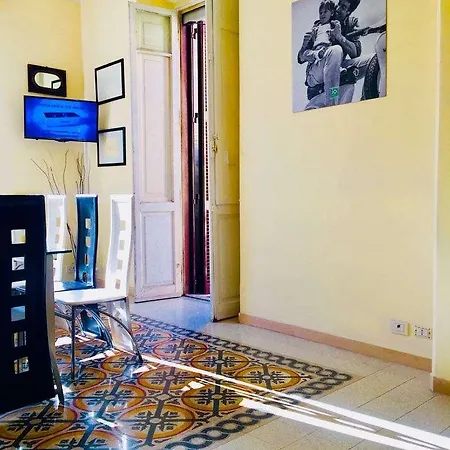 C Luxury Palace And Hostel