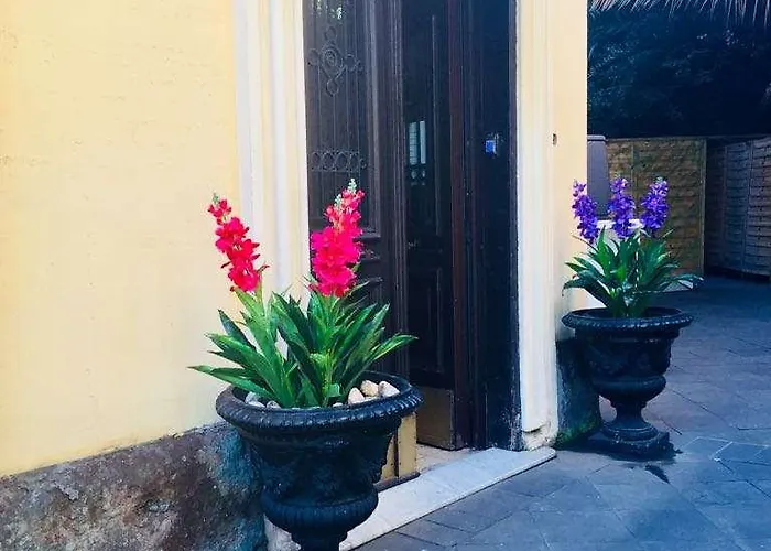 C Luxury Palace And 3*
